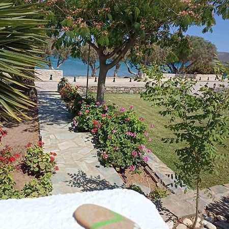 Grandes Apartments Sea Front Palekastro Dış mekan fotoğraf