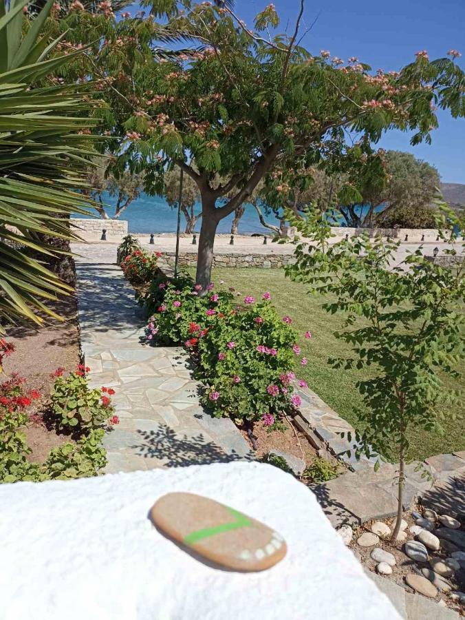 Grandes Apartments Sea Front Palekastro Dış mekan fotoğraf
