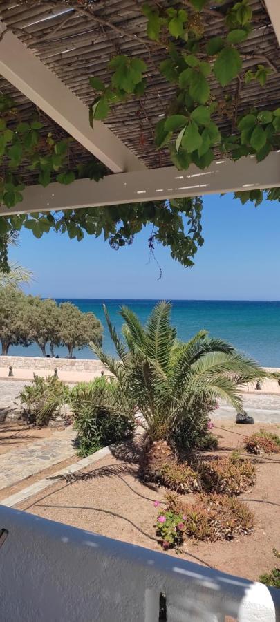Grandes Apartments Sea Front Palekastro Dış mekan fotoğraf